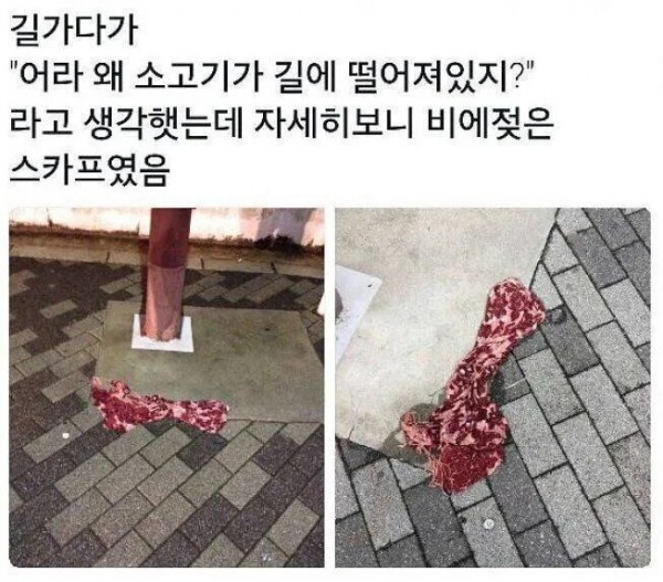 바닥에 버려진 소고기.jpg