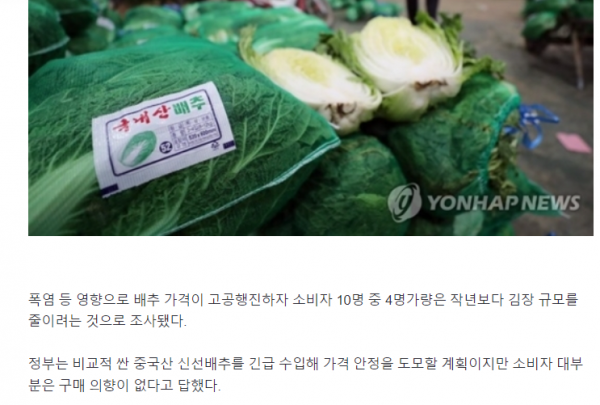 image.png &quot;안 먹고 말지&quot;…94% &quot;중국산 배추 구매 안 해&quot;